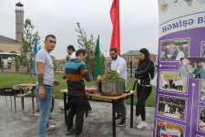 В Джоджуг Марджанлы отметили Международный день кулинарии (ФОТО)