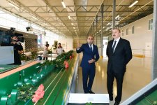 Президент Ильхам Алиев ознакомился в Габале с теплицей декоративного цветоводства (ФОТО)