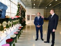 Президент Ильхам Алиев ознакомился в Габале с теплицей декоративного цветоводства (ФОТО)