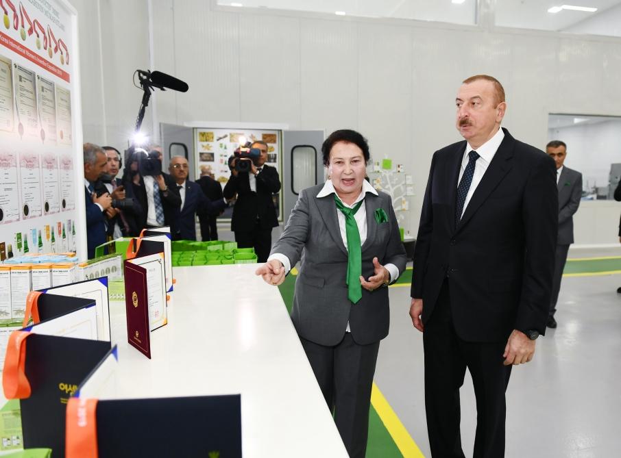 Президент Ильхам Алиев принял участие в открытии Солодкового  промышленного парка в Агдаше (ФОТО)