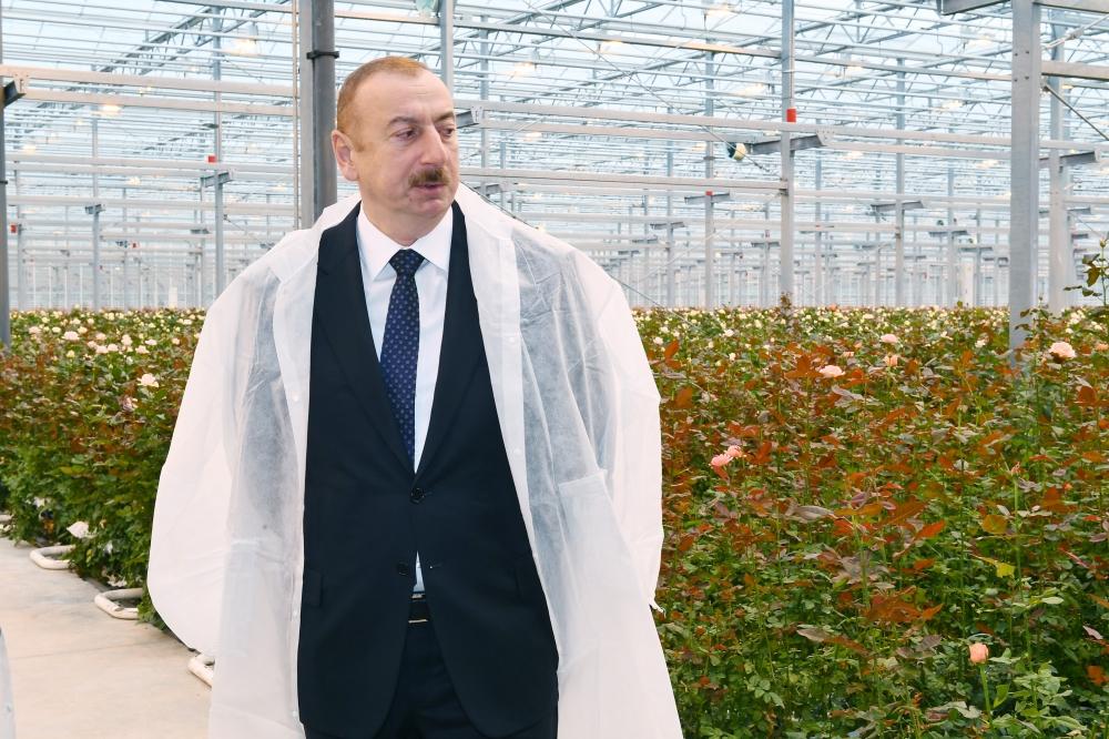 Президент Ильхам Алиев ознакомился в Габале с теплицей декоративного цветоводства (ФОТО)