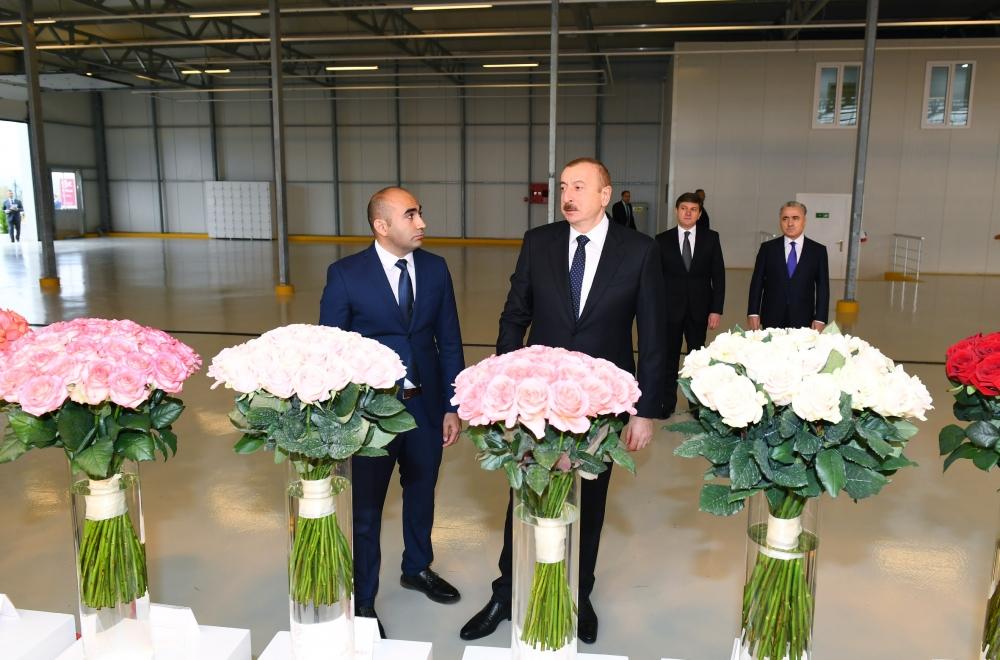 Президент Ильхам Алиев ознакомился в Габале с теплицей декоративного цветоводства (ФОТО)