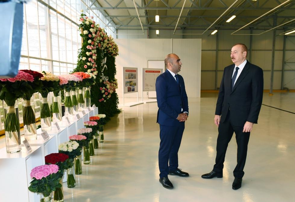 Президент Ильхам Алиев ознакомился в Габале с теплицей декоративного цветоводства (ФОТО)