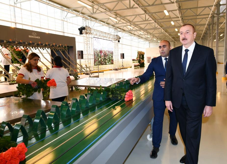 Президент Ильхам Алиев ознакомился в Габале с теплицей декоративного цветоводства (ФОТО)