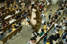 Очень детективная история в Баку - тут явно не обошлось без колдовства (ФОТО)