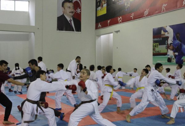 Побеждай своим духом! Большой спортивный фестиваль в Шеки (ФОТО)