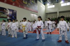 Побеждай своим духом! Большой спортивный фестиваль в Шеки (ФОТО)