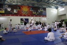 Побеждай своим духом! Большой спортивный фестиваль в Шеки (ФОТО)