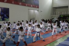 Побеждай своим духом! Большой спортивный фестиваль в Шеки (ФОТО)