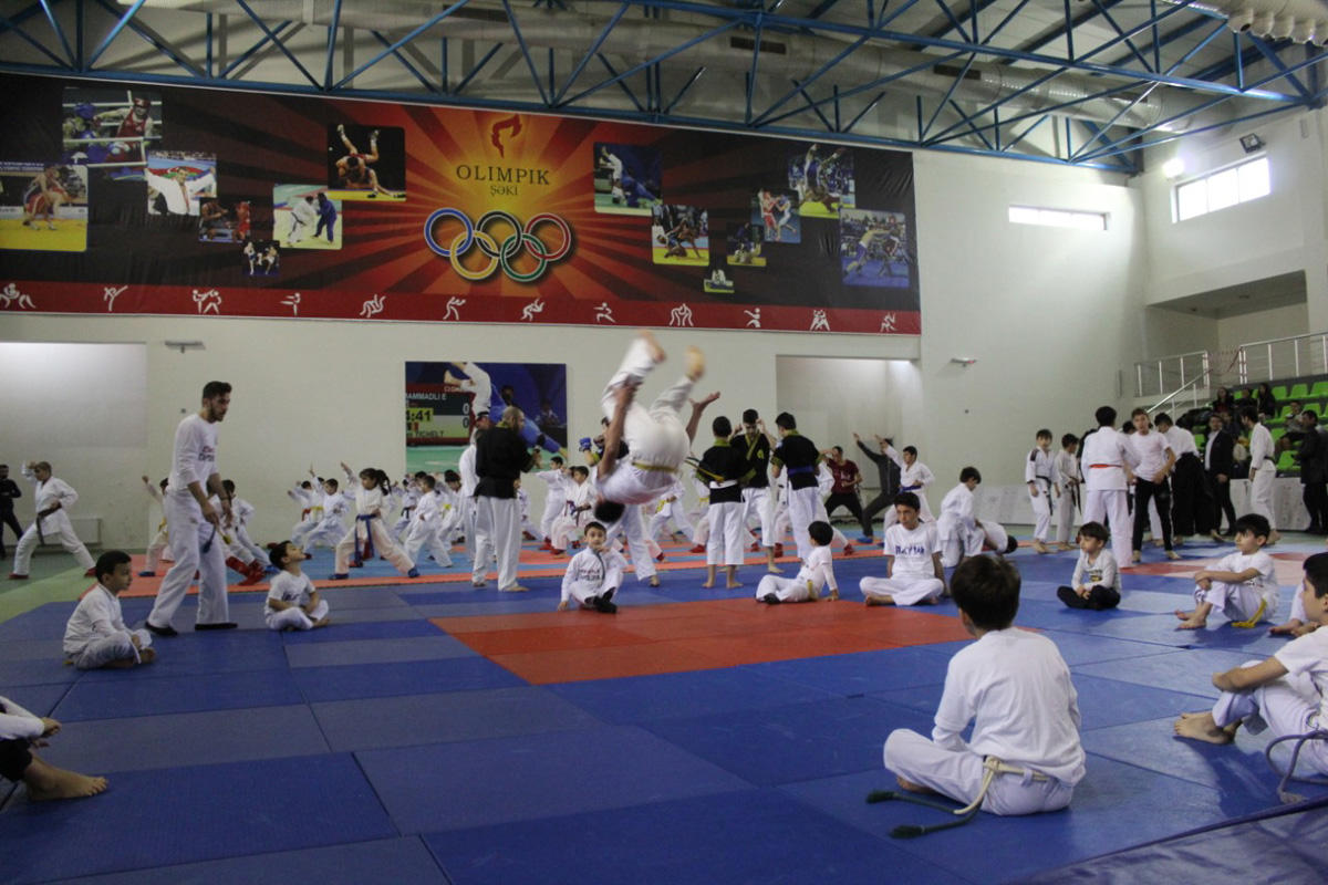 Побеждай своим духом! Большой спортивный фестиваль в Шеки (ФОТО)