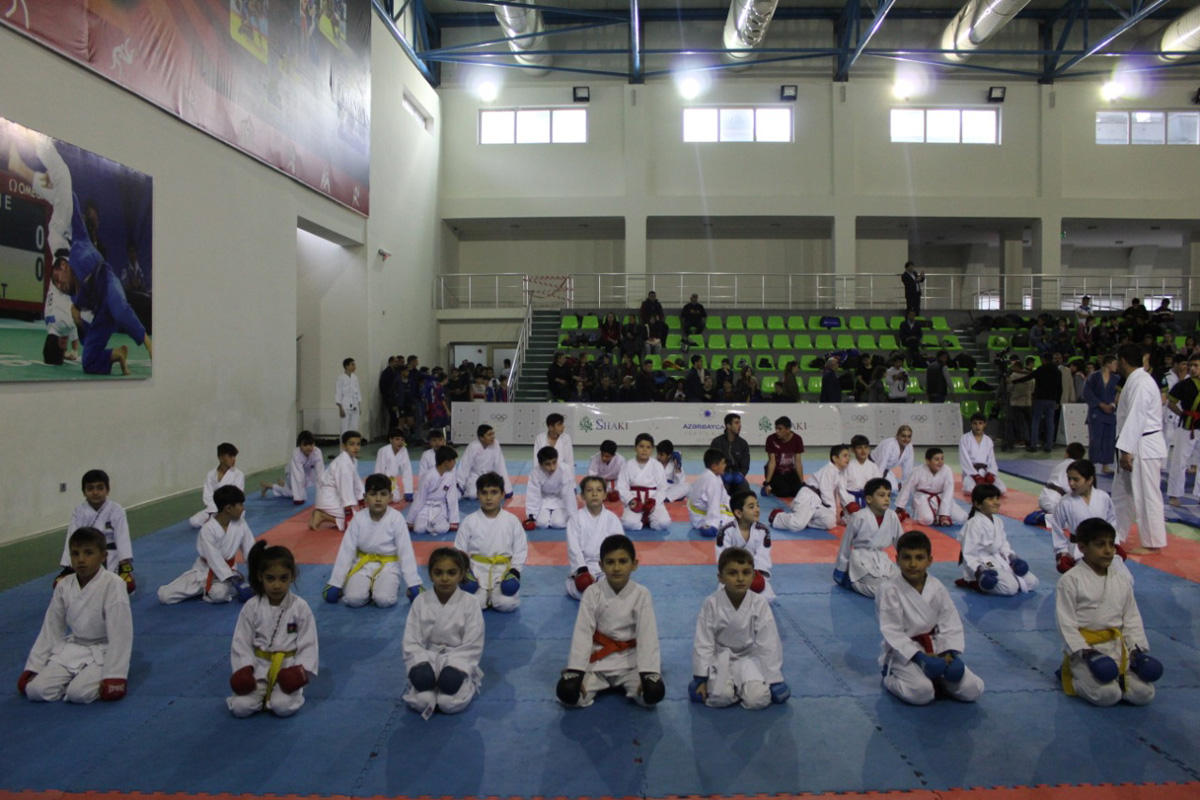 Побеждай своим духом! Большой спортивный фестиваль в Шеки (ФОТО)