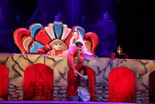 Радиоведущая, математик и переводчик дебютировала на сцене Азербайджанского театра (ВИДЕО, ФОТО)