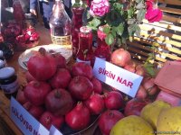 Самые маленькие дети показали свою любовь к флагу Азербайджана (ФОТО)