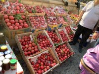 Праздник Короля фруктов в Гёйчае – донер из гранат, конкурсы, самое красное шоу (ФОТО)