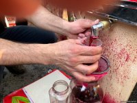 Праздник Короля фруктов в Гёйчае – донер из гранат, конкурсы, самое красное шоу (ФОТО)