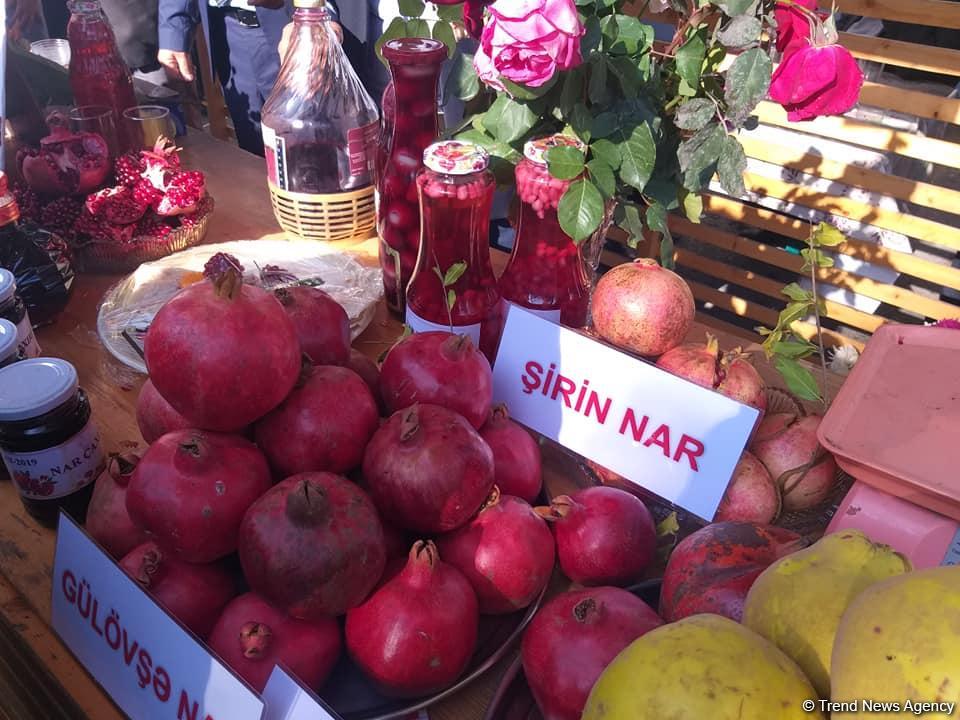Самые маленькие дети показали свою любовь к флагу Азербайджана (ФОТО)