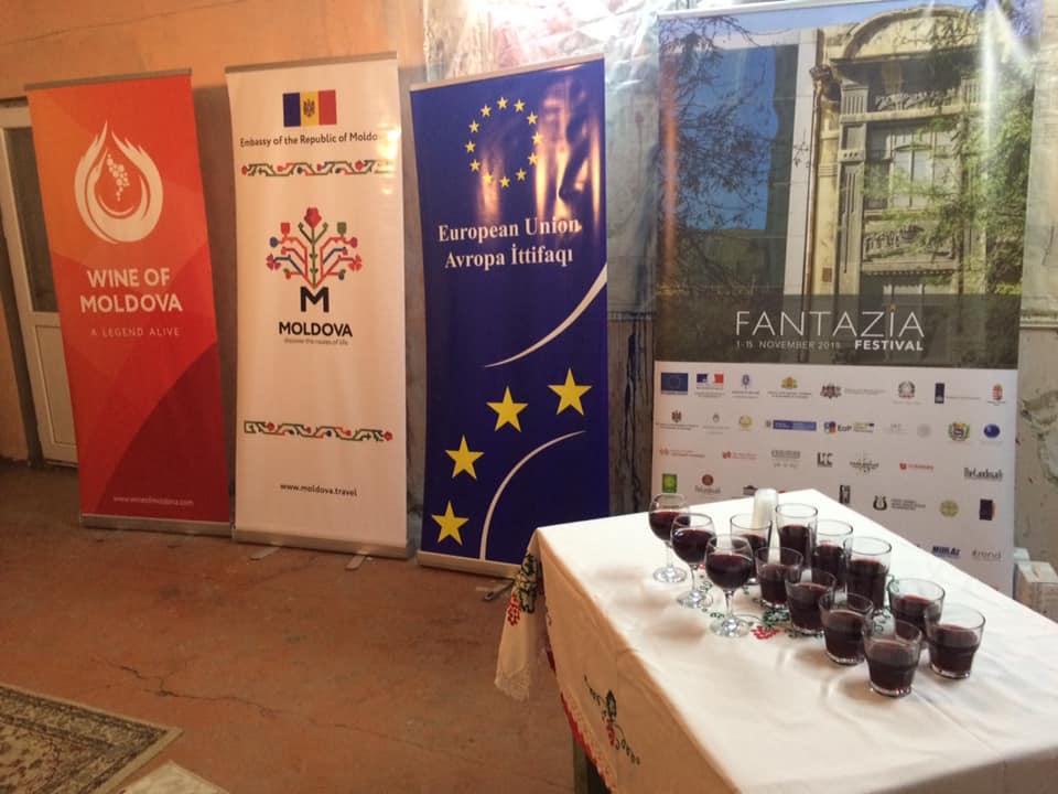 "Фантастическое" путешествие послов иностранных государств в Гянджу (ВИДЕО, ФОТО)