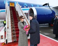 Первый вице-президент Азербайджана Мехрибан Алиева прибыла с официальным визитом в Россию (ФОТО)