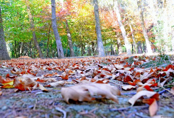 Природа прекрасна круглый год, но осенью - великолепна (Фоторепортаж)