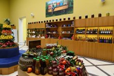 Первый вице-президент Мехрибан Алиева приняла участие в открытии реконструированного павильона "Азербайджан" на Выставке достижений народного хозяйства в Москве  (ФОТО)