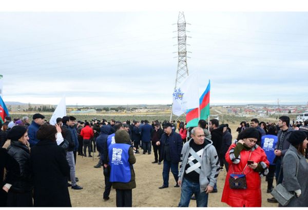 Праздник в Мушфигабаде - акция по посадке 650 тыс. деревьев, концертная программа, знаменитости (ФОТО)