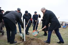 Праздник в Мушфигабаде - акция по посадке 650 тыс. деревьев, концертная программа, знаменитости (ФОТО)
