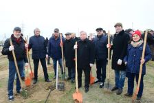 Праздник в Мушфигабаде - акция по посадке 650 тыс. деревьев, концертная программа, знаменитости (ФОТО)