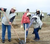 Праздник в Мушфигабаде - акция по посадке 650 тыс. деревьев, концертная программа, знаменитости (ФОТО)