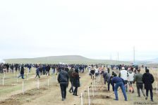 Праздник в Мушфигабаде - акция по посадке 650 тыс. деревьев, концертная программа, знаменитости (ФОТО)