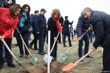 Праздник в Мушфигабаде - акция по посадке 650 тыс. деревьев, концертная программа, знаменитости (ФОТО)