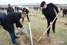 Праздник в Мушфигабаде - акция по посадке 650 тыс. деревьев, концертная программа, знаменитости (ФОТО)