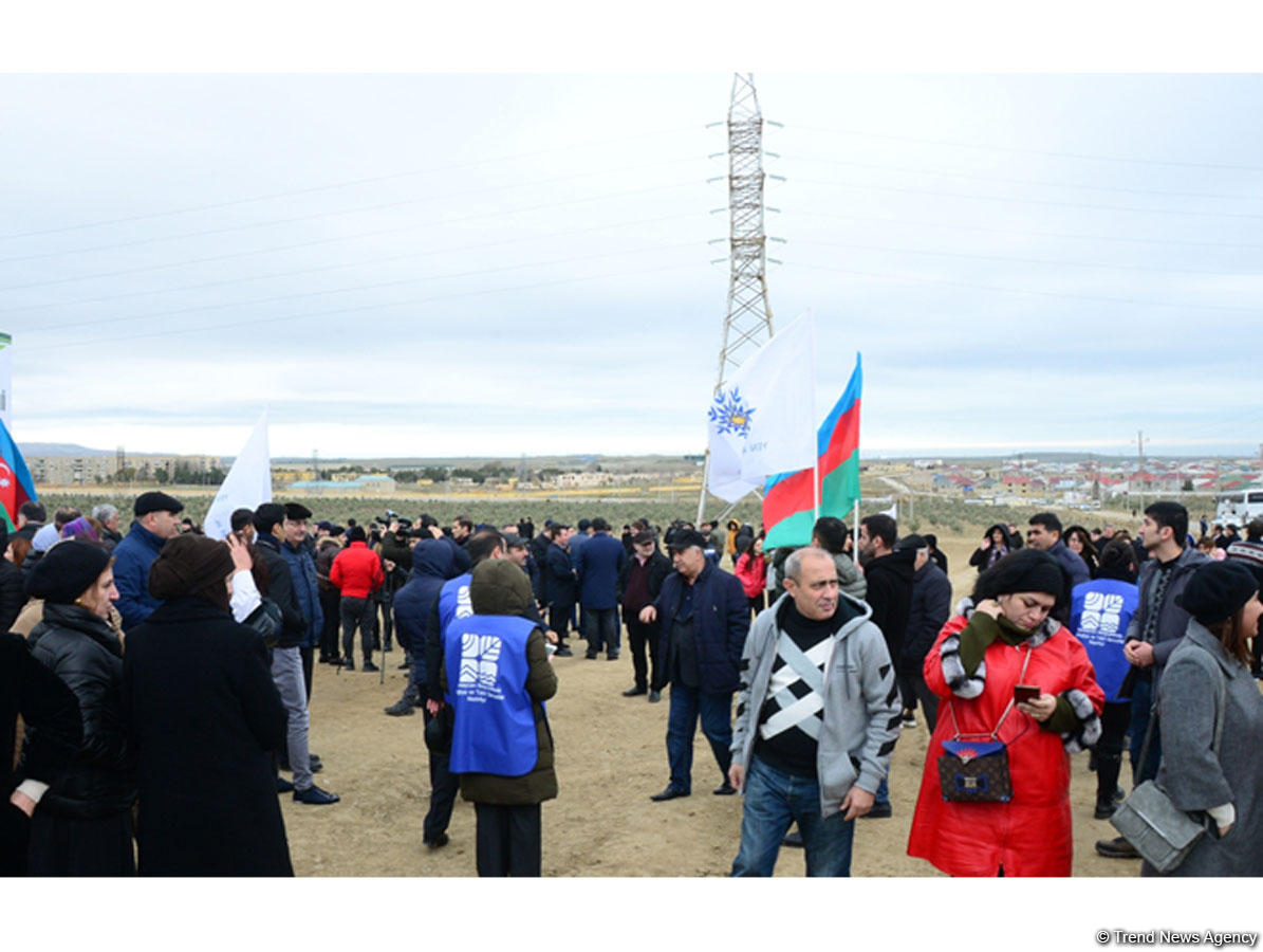 Праздник в Мушфигабаде - акция по посадке 650 тыс. деревьев, концертная программа, знаменитости (ФОТО)