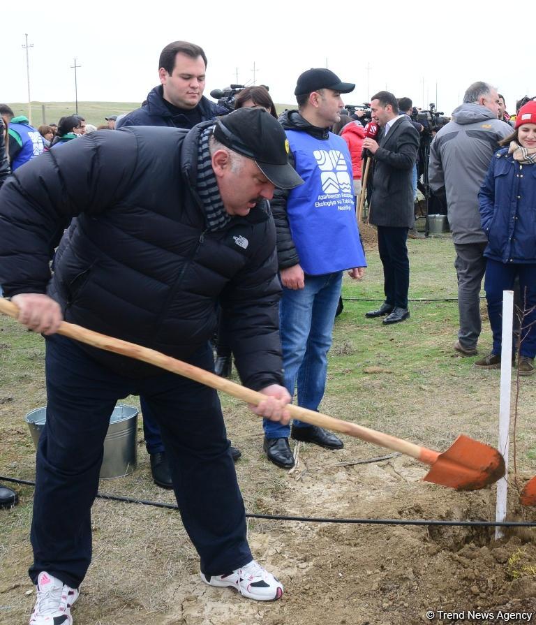 Праздник в Мушфигабаде - акция по посадке 650 тыс. деревьев, концертная программа, знаменитости (ФОТО)