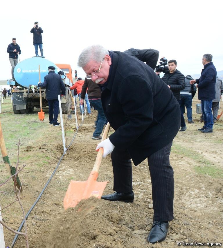 Праздник в Мушфигабаде - акция по посадке 650 тыс. деревьев, концертная программа, знаменитости (ФОТО)