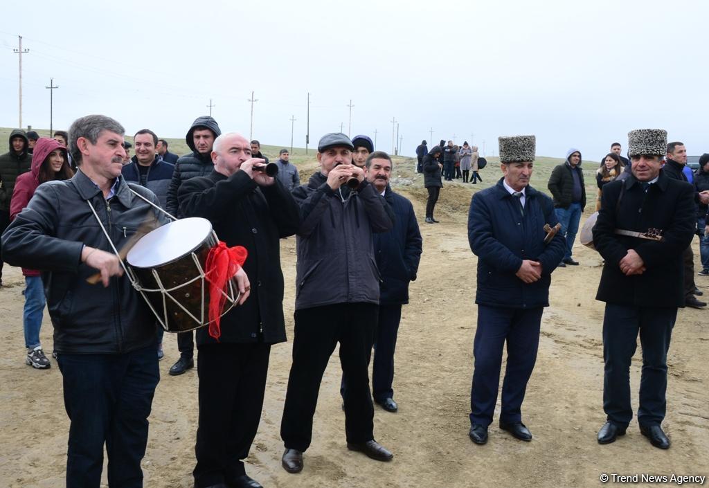 Праздник в Мушфигабаде - акция по посадке 650 тыс. деревьев, концертная программа, знаменитости (ФОТО)