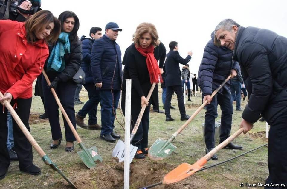 Праздник в Мушфигабаде - акция по посадке 650 тыс. деревьев, концертная программа, знаменитости (ФОТО)