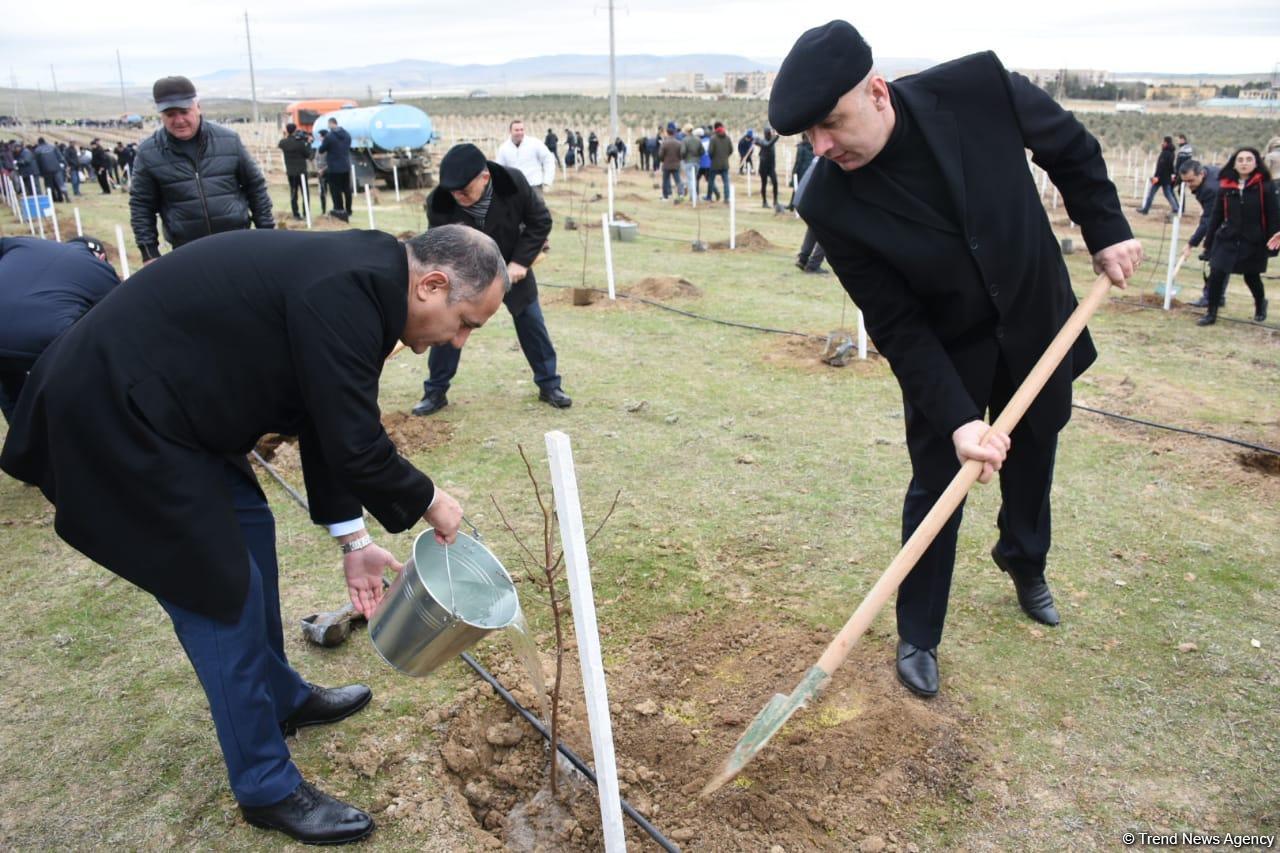 Праздник в Мушфигабаде - акция по посадке 650 тыс. деревьев, концертная программа, знаменитости (ФОТО)