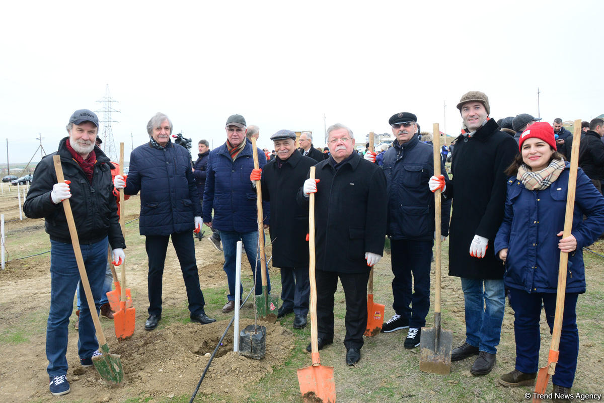 Сакит Мамедов: Акция по посадке деревьев в Азербайджане стала настоящим  праздником гуманизма   (ФОТО)