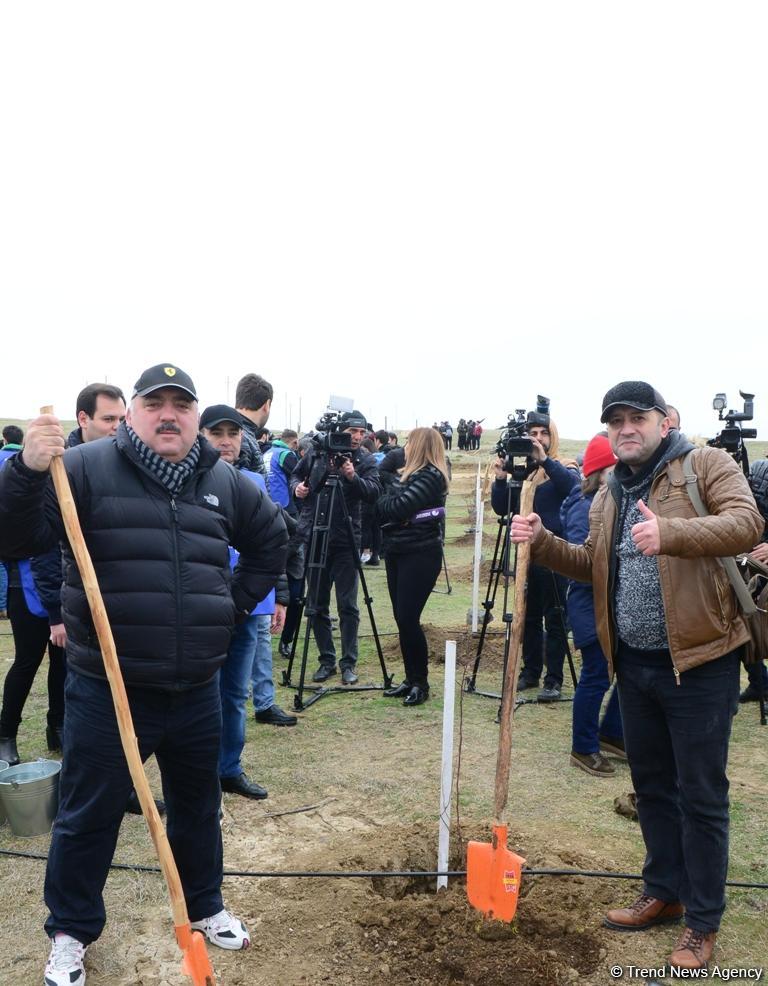 Сотрудники Trend.az, Day.az, Milli.az и Azernews.az приняли участие в акции по посадке деревьев в честь 650-летия Насими - (ФОТО/ВИДЕО)