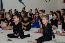 Члены национальной сборной Азербайджана по художественной гимнастике встретились с юными спортсменками (ФОТО)