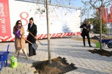 Президент Ильхам Алиев принял участие в открытии Центральной бульварной улицы в «Баку Белый город» (ФОТО)