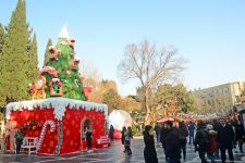 Предновогодний Баку в сверкании огней (ФОТОРЕПОРТАЖ)