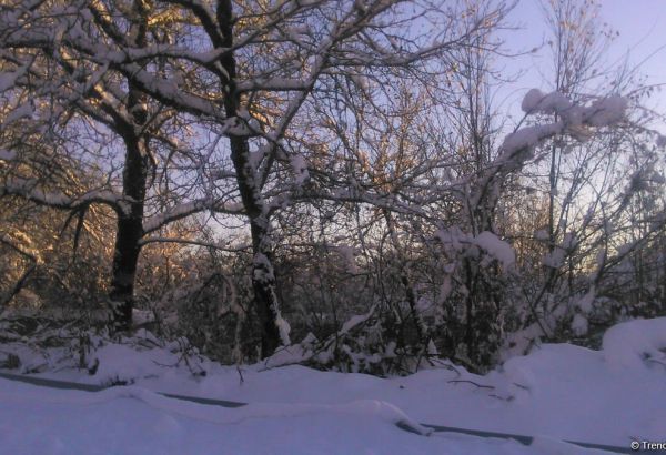 Заповедники Азербайджана в период новогодних праздников готовы принять гостей