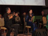 Солнце на горизонте азербайджанской литературы (ФОТО)