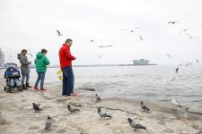 Азербайджанский фотограф стал лауреатом PhotOlympic  в Сербии (ФОТО)