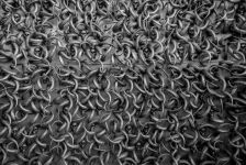 Азербайджанский фотограф стал лауреатом PhotOlympic  в Сербии (ФОТО)