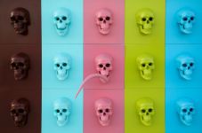 Азербайджанский фотограф стал лауреатом PhotOlympic  в Сербии (ФОТО)