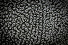 Азербайджанский фотограф стал лауреатом PhotOlympic  в Сербии (ФОТО)