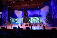 Новогодний карнавал в Баку (ФОТО)