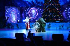 Новогодний карнавал в Баку (ФОТО)